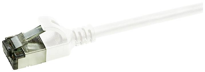 Een zilveren Ethernet-kabel met transparantie-effect op een witte achtergrond, toont een RJ45-connector.