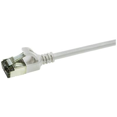 Een wit Ethernet-kabel met een RJ45-connector, klaar om aangesloten te worden op een netwerkapparaat voor internet- of gegevensverbinding.