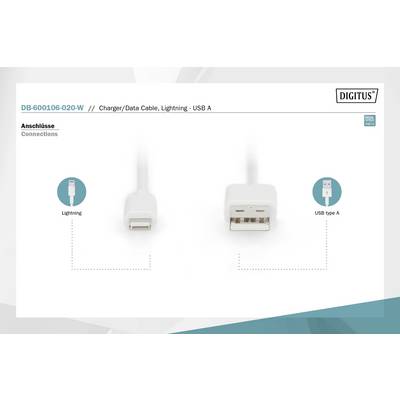 'Oplaadkabel met Lightning- en USB A-aansluiting. Links: Lightning-aansluiting. Rechts: USB type A-aansluiting. Opschrift: Aansluitingen.'