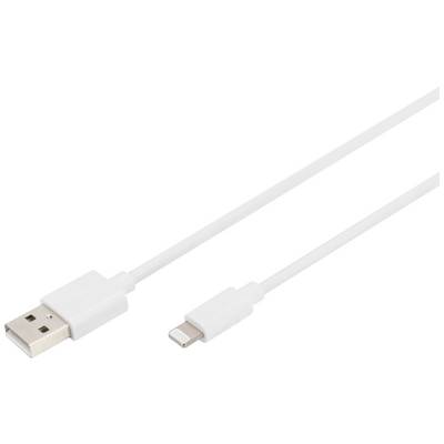 Een wit USB-kabel met een USB-A-stekker aan de ene kant en een Lightning-stekker aan de andere kant.