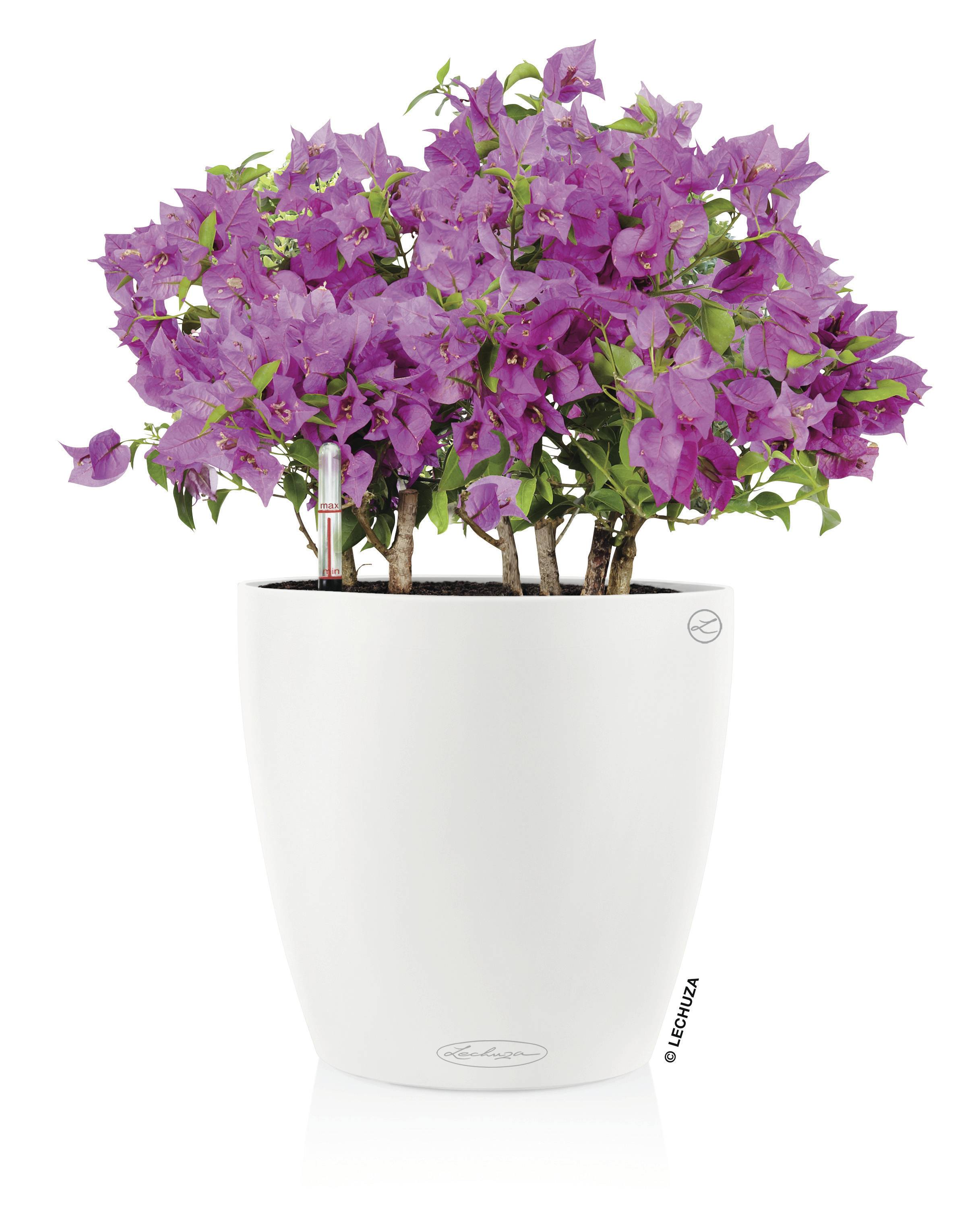LECHUZA Bloempot - Classico Color 28 - Ø 28 x 26 cm - Compleet Kit - Wit - 9 L-2