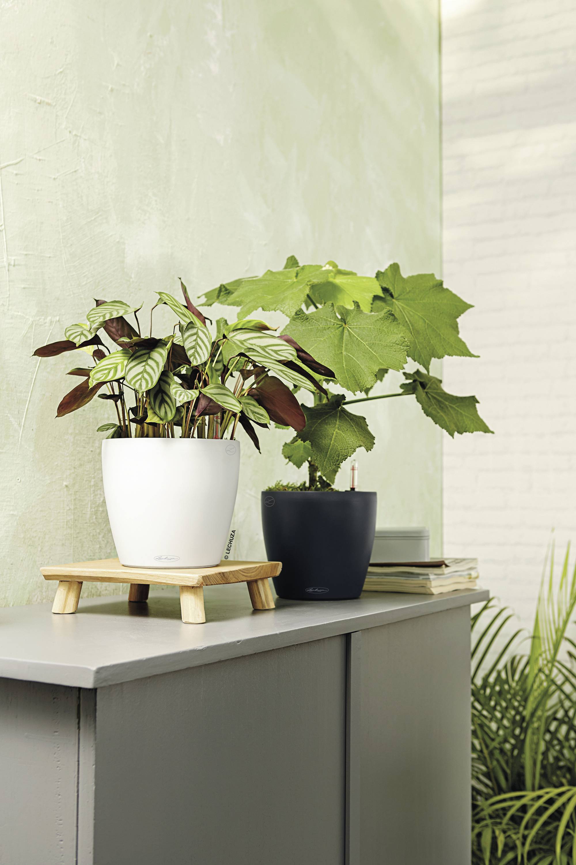 LECHUZA Bloempot - Classico Color 28 - Ø 28 x 26 cm - Compleet Kit - Wit - 9 L-5