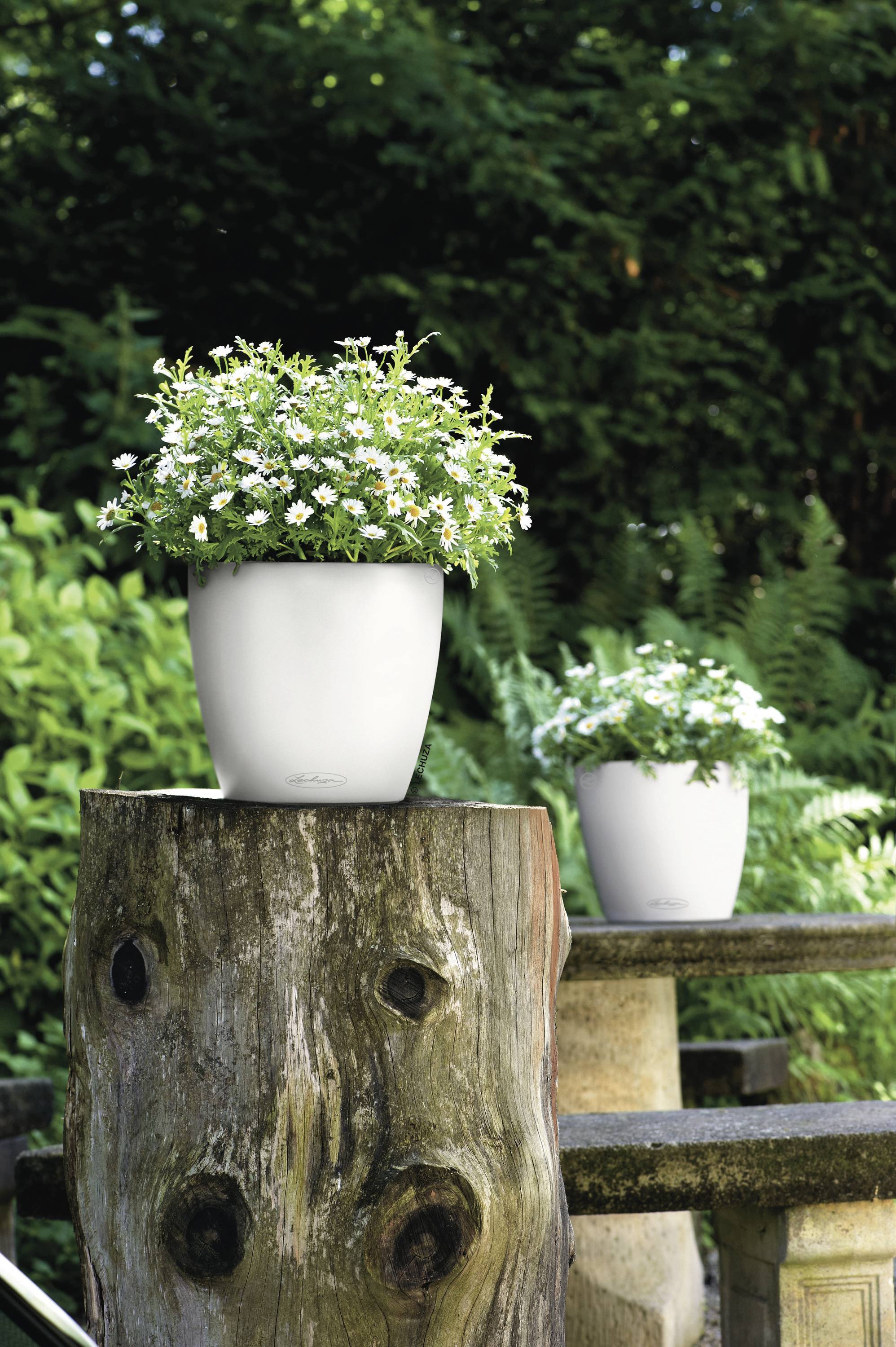 LECHUZA Bloempot - Classico Color 28 - Ø 28 x 26 cm - Compleet Kit - Wit - 9 L-7