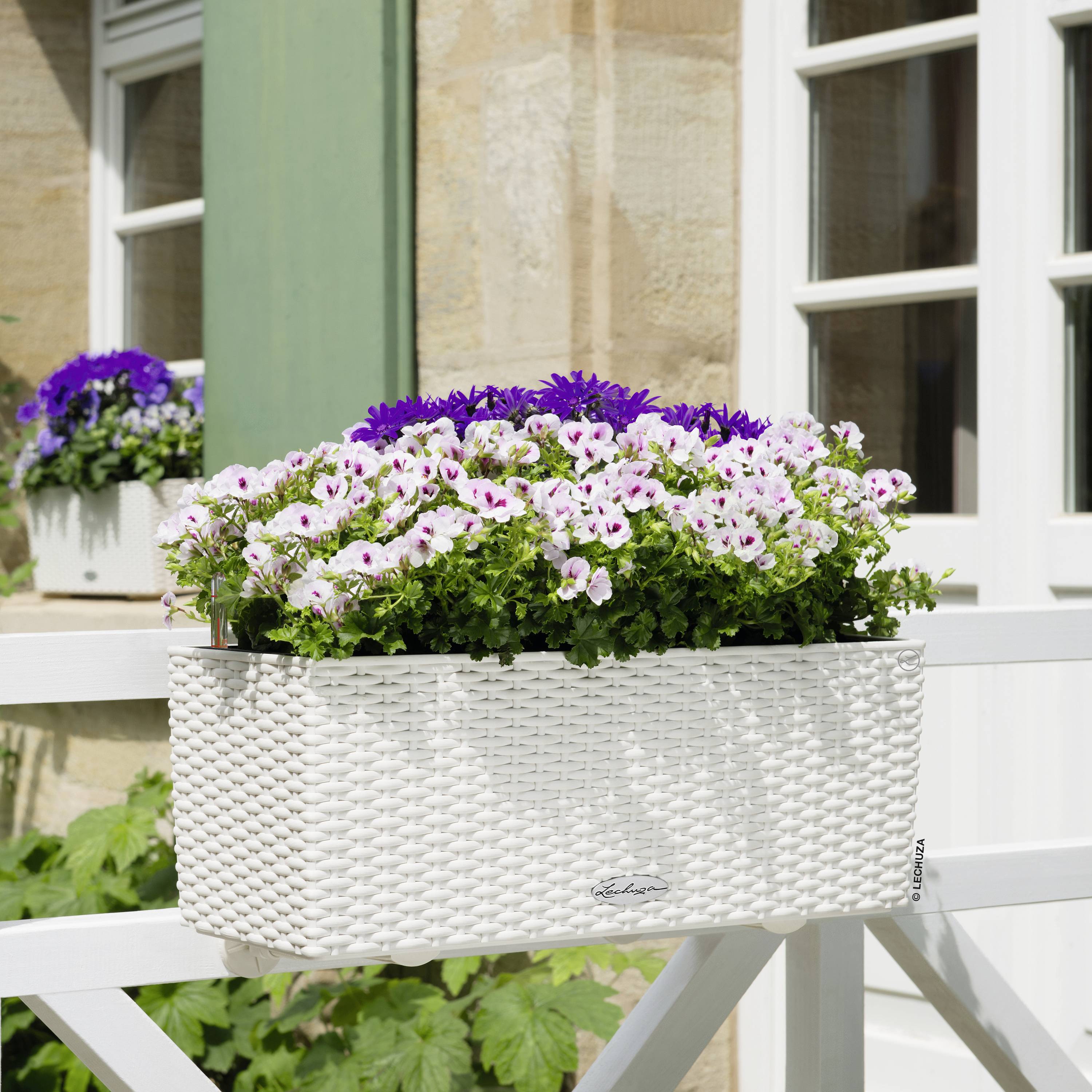 LECHUZA Cottage Balkonbloempot 50 - Wit - 44 x 33 cm - Met Waterreservoir-3
