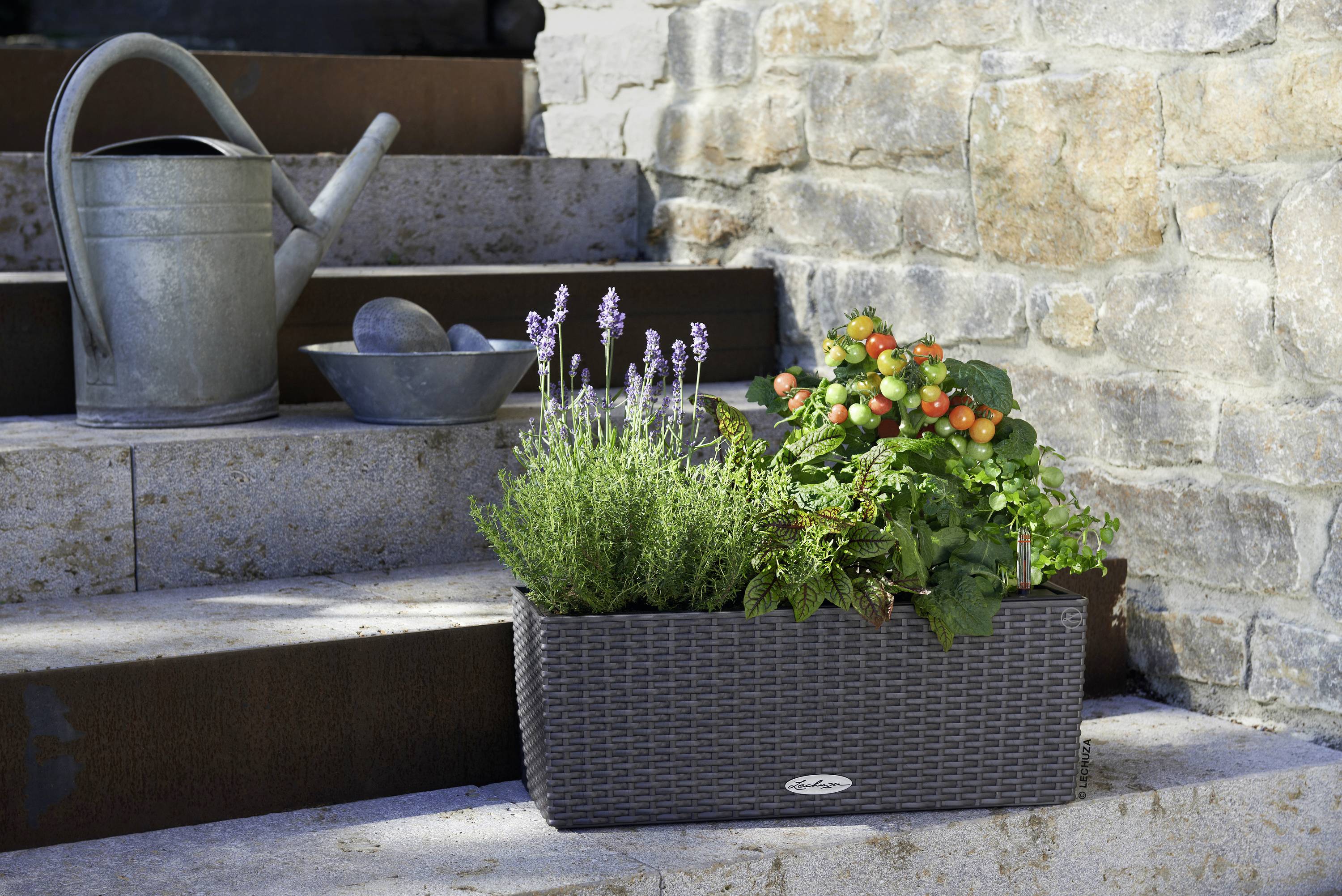 LECHUZA Plantenbakken - Balconera Cottage 50 50 x 19 x 19 cm - Compleet Kit - Graniet-3