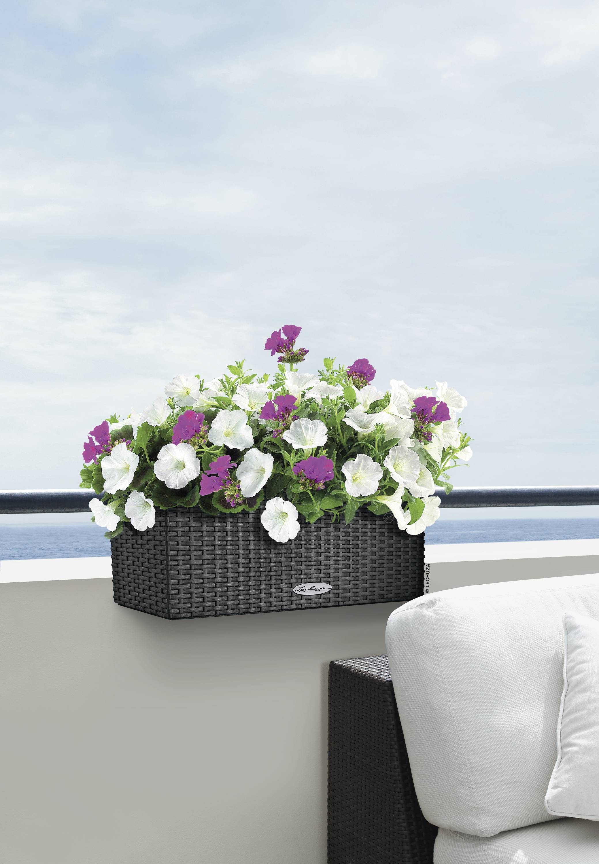 LECHUZA Plantenbakken - Balconera Cottage 50 50 x 19 x 19 cm - Compleet Kit - Graniet-10