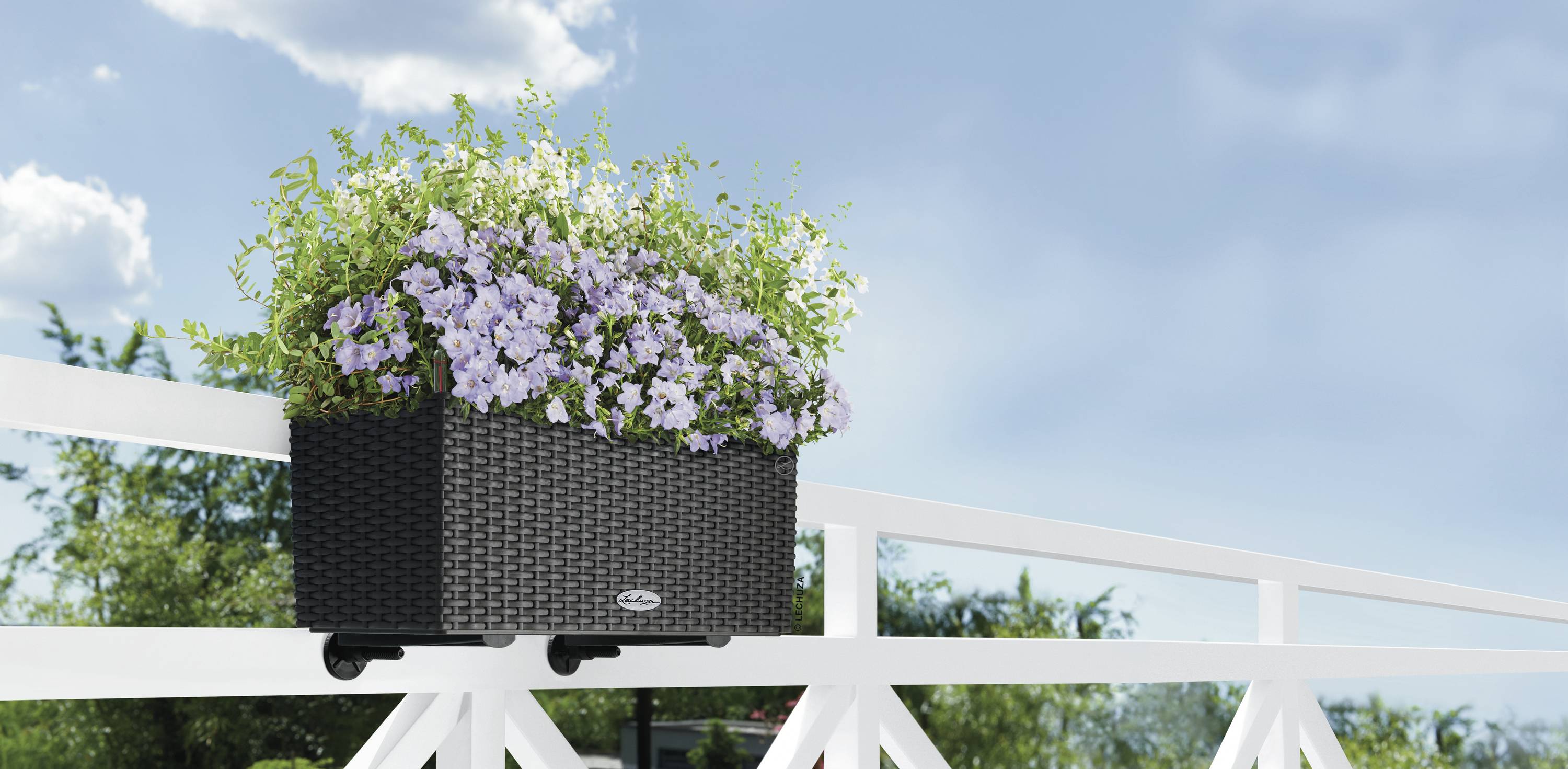 LECHUZA Plantenbakken - Balconera Cottage 50 50 x 19 x 19 cm - Compleet Kit - Graniet-11