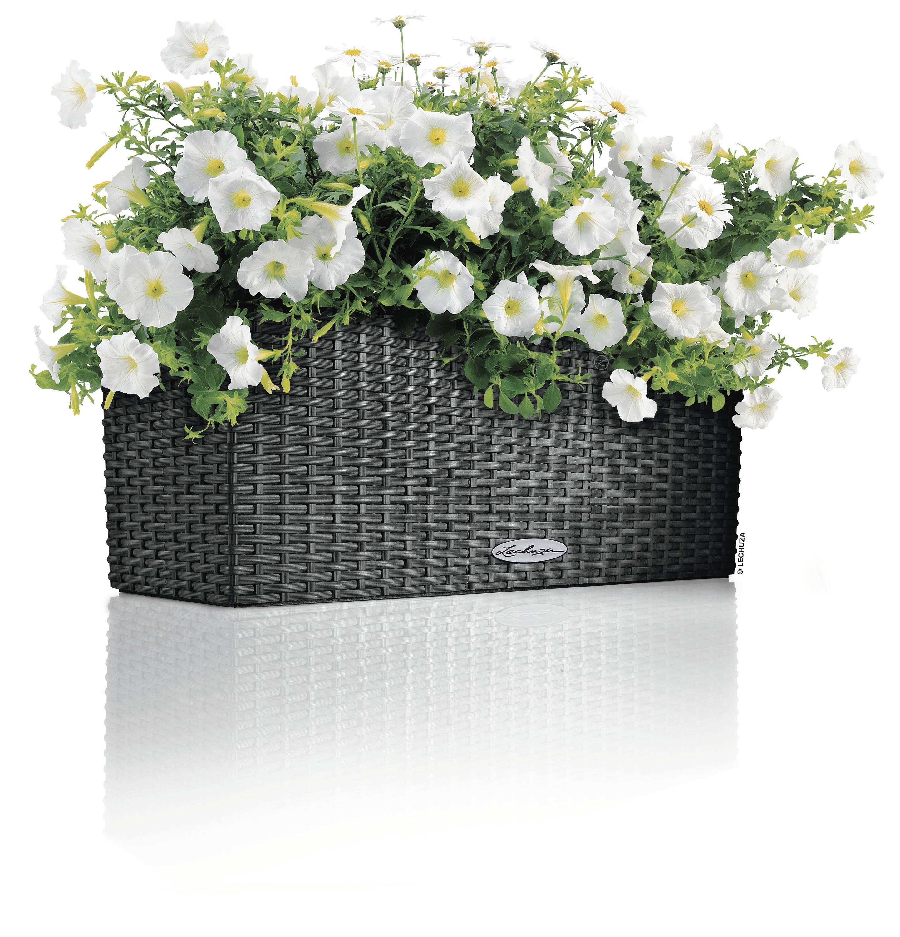 LECHUZA Plantenbakken - Balconera Cottage 50 50 x 19 x 19 cm - Compleet Kit - Graniet-12