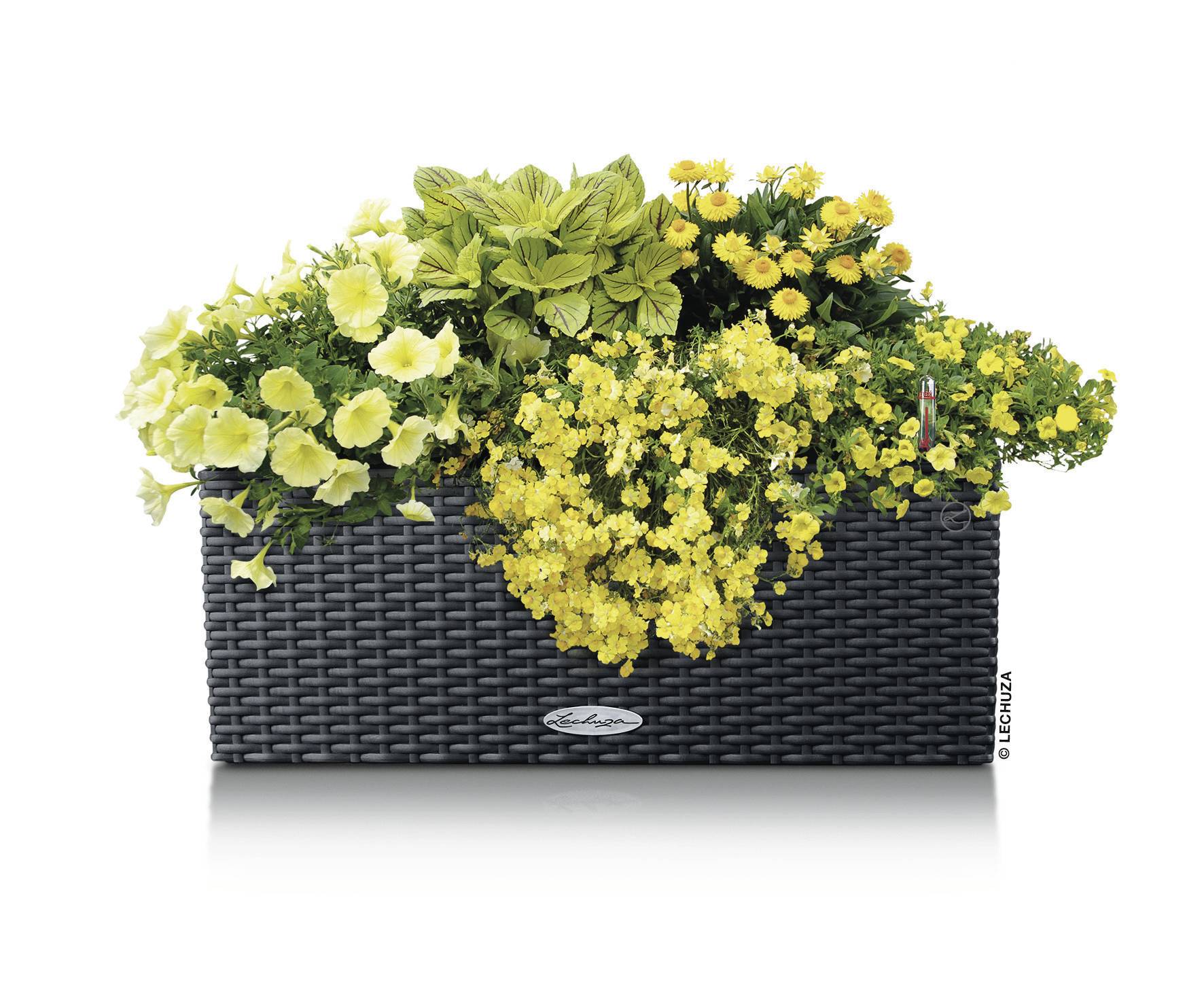 LECHUZA Plantenbakken - Balconera Cottage 50 50 x 19 x 19 cm - Compleet Kit - Graniet-13