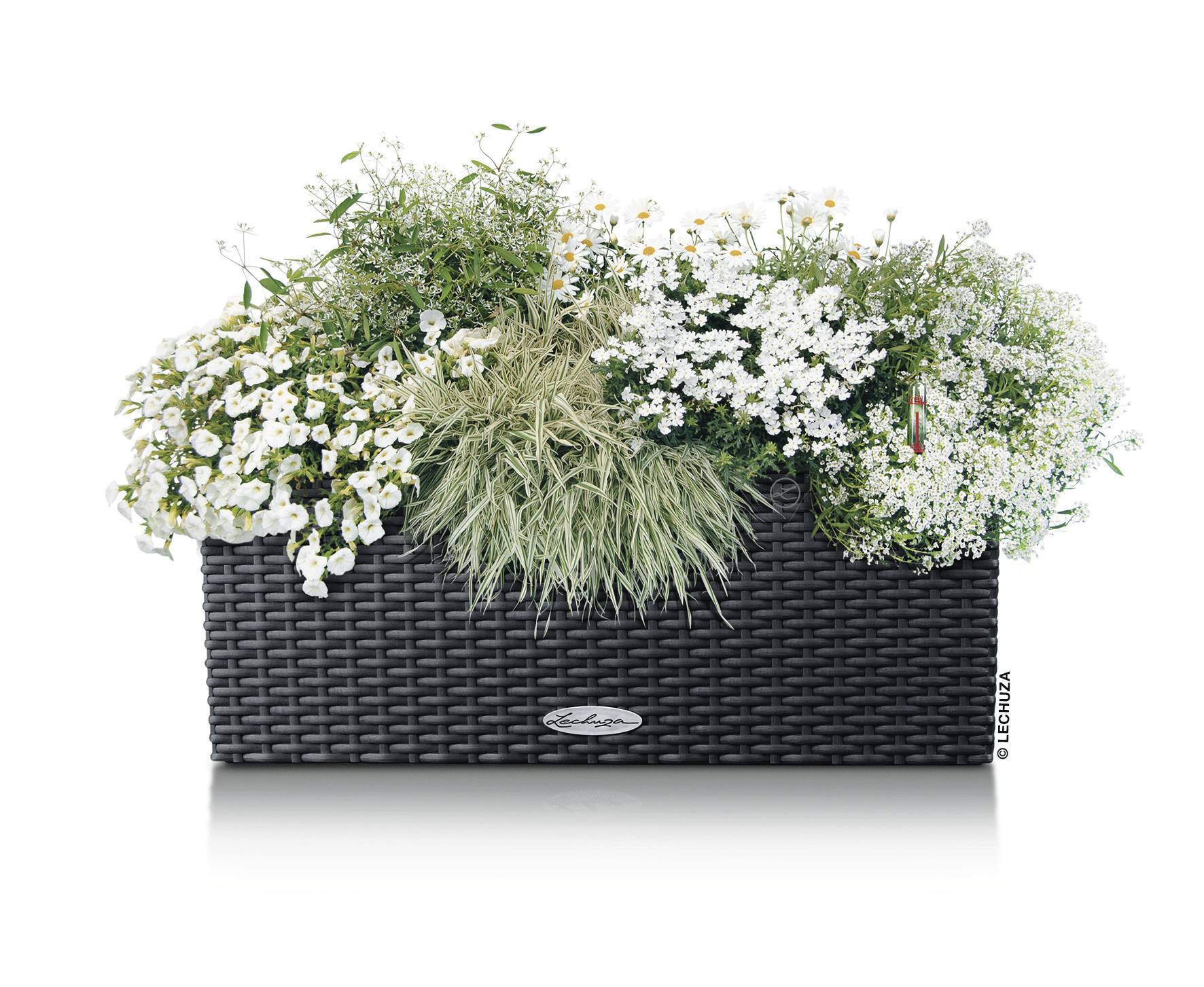 LECHUZA Plantenbakken - Balconera Cottage 50 50 x 19 x 19 cm - Compleet Kit - Graniet-14