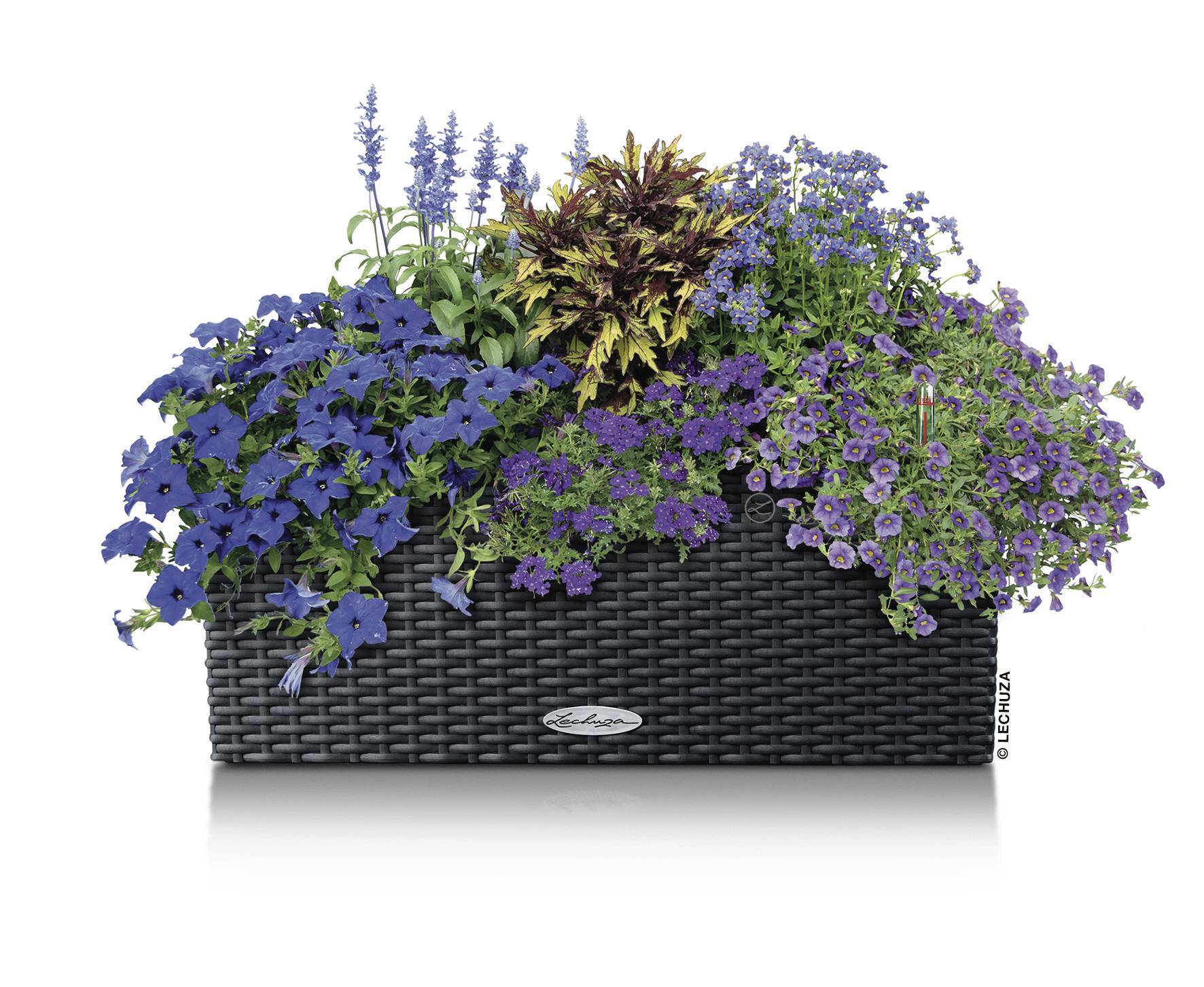 LECHUZA Plantenbakken - Balconera Cottage 50 50 x 19 x 19 cm - Compleet Kit - Graniet-15