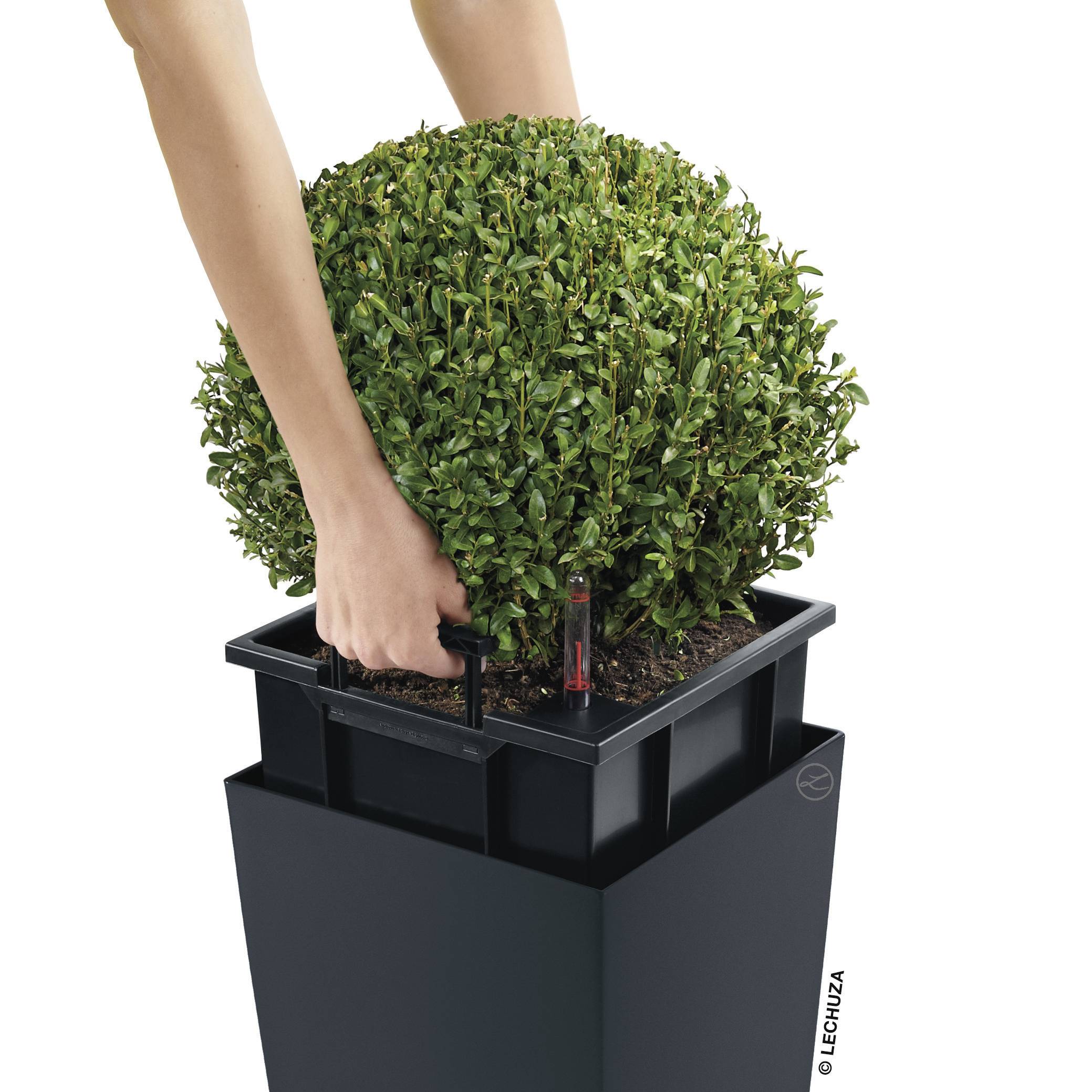 LECHUZA Cubico Color 40 Plantenbak Slate Sub-Irrigatiesysteem 40 x 40 x 75 cm 40x40x75cm-4