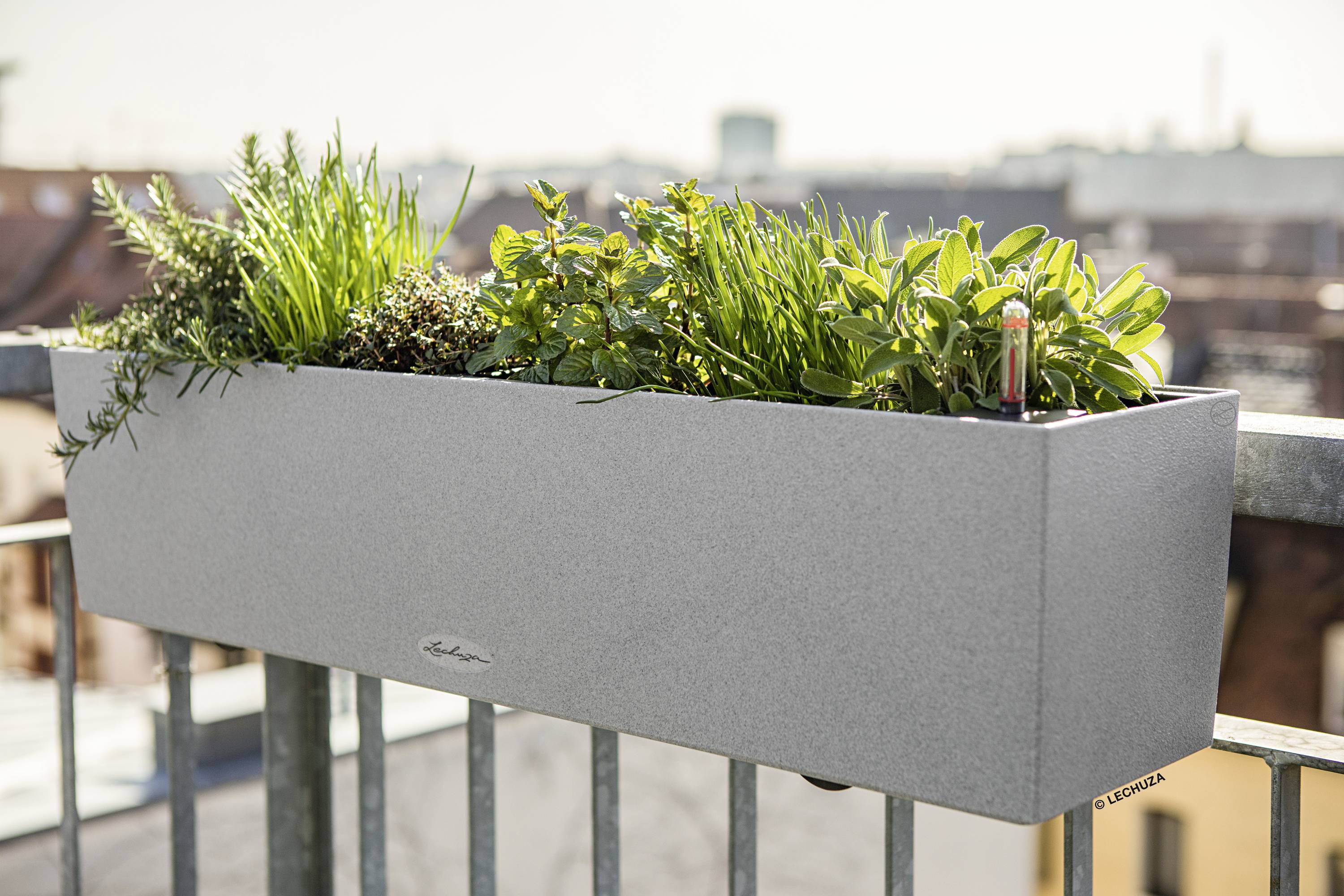 LECHUZA Balkonbak Balconera Stone 80 - 79 x 19 x 19 cm - Grijs-2