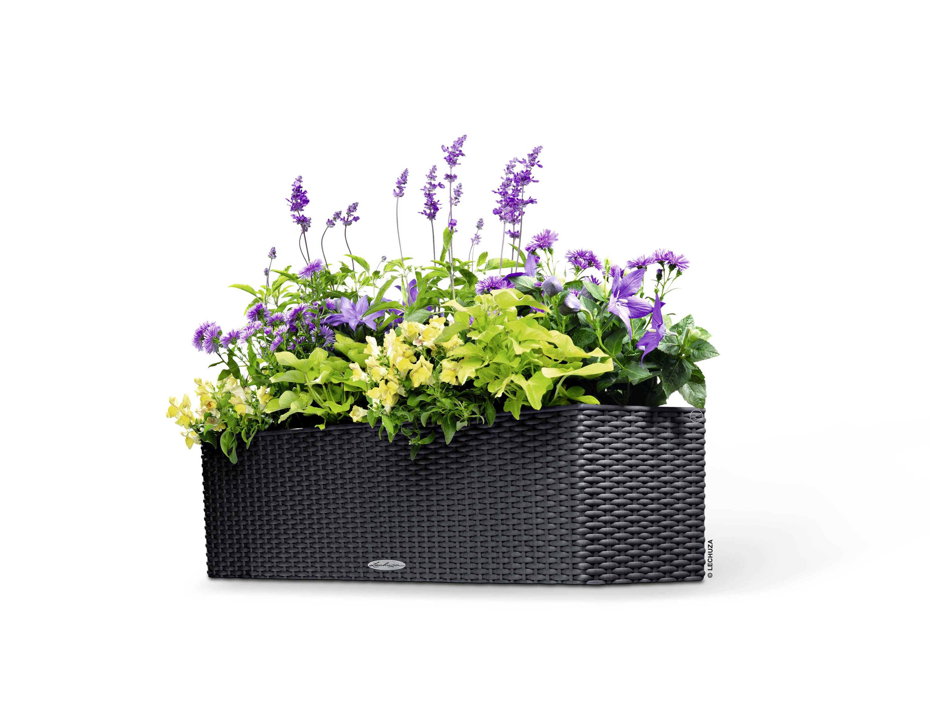 LECHUZA Jardiniere BALCONERA Cottage 80 ALL-IN-ONE Graniet-2