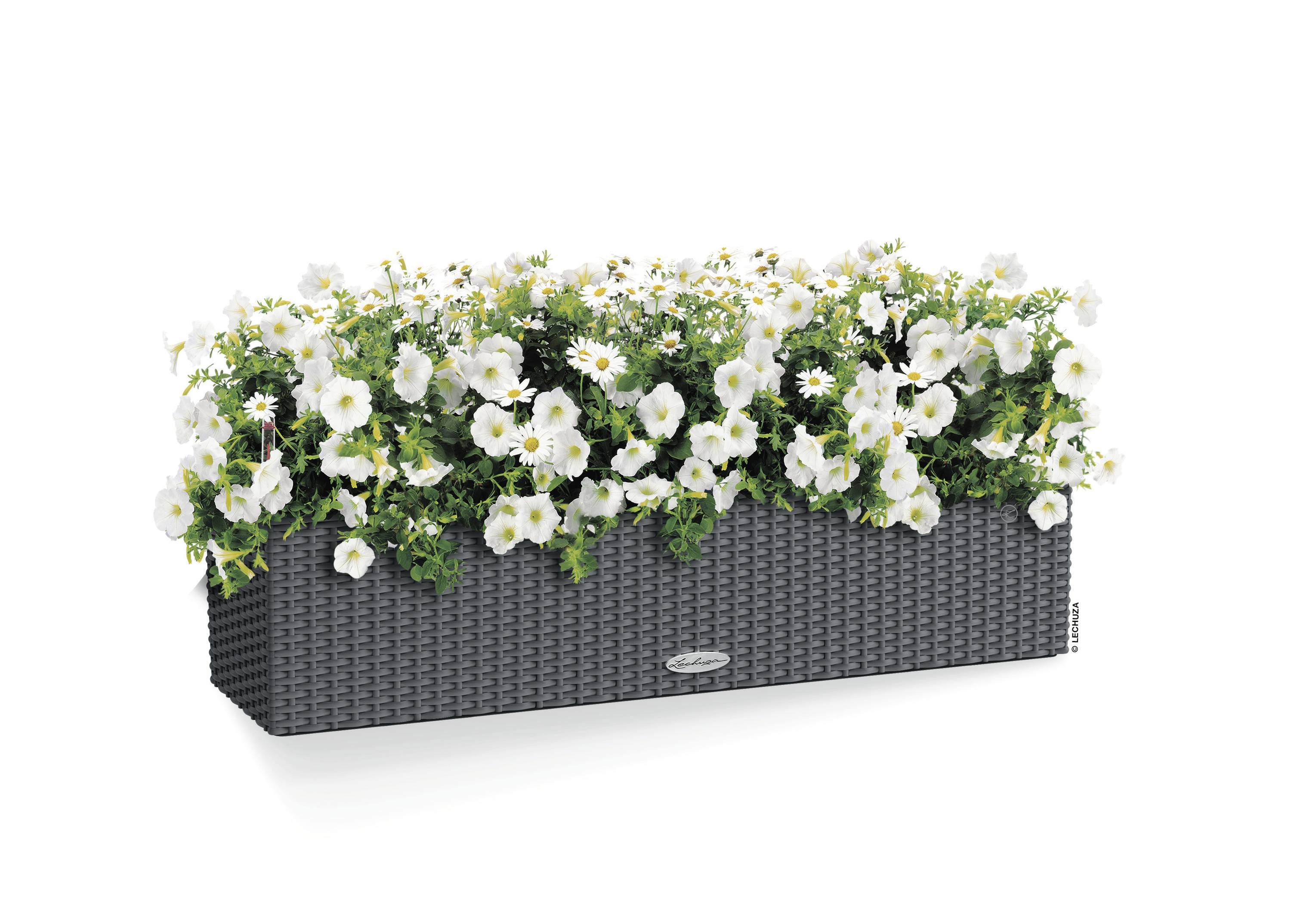 LECHUZA Jardiniere BALCONERA Cottage 80 ALL-IN-ONE Graniet-9