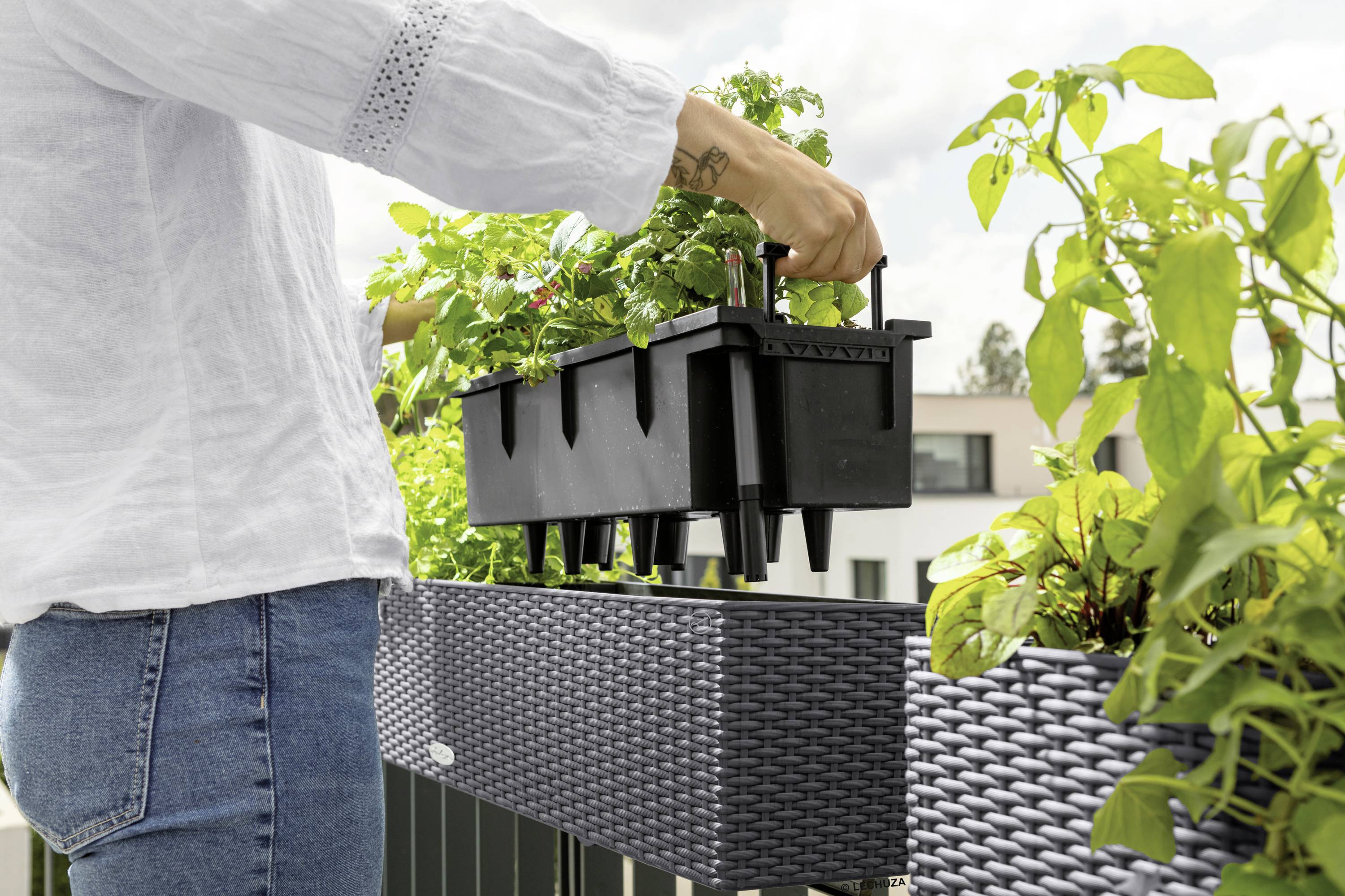 LECHUZA Jardiniere BALCONERA Cottage 80 ALL-IN-ONE Graniet-16