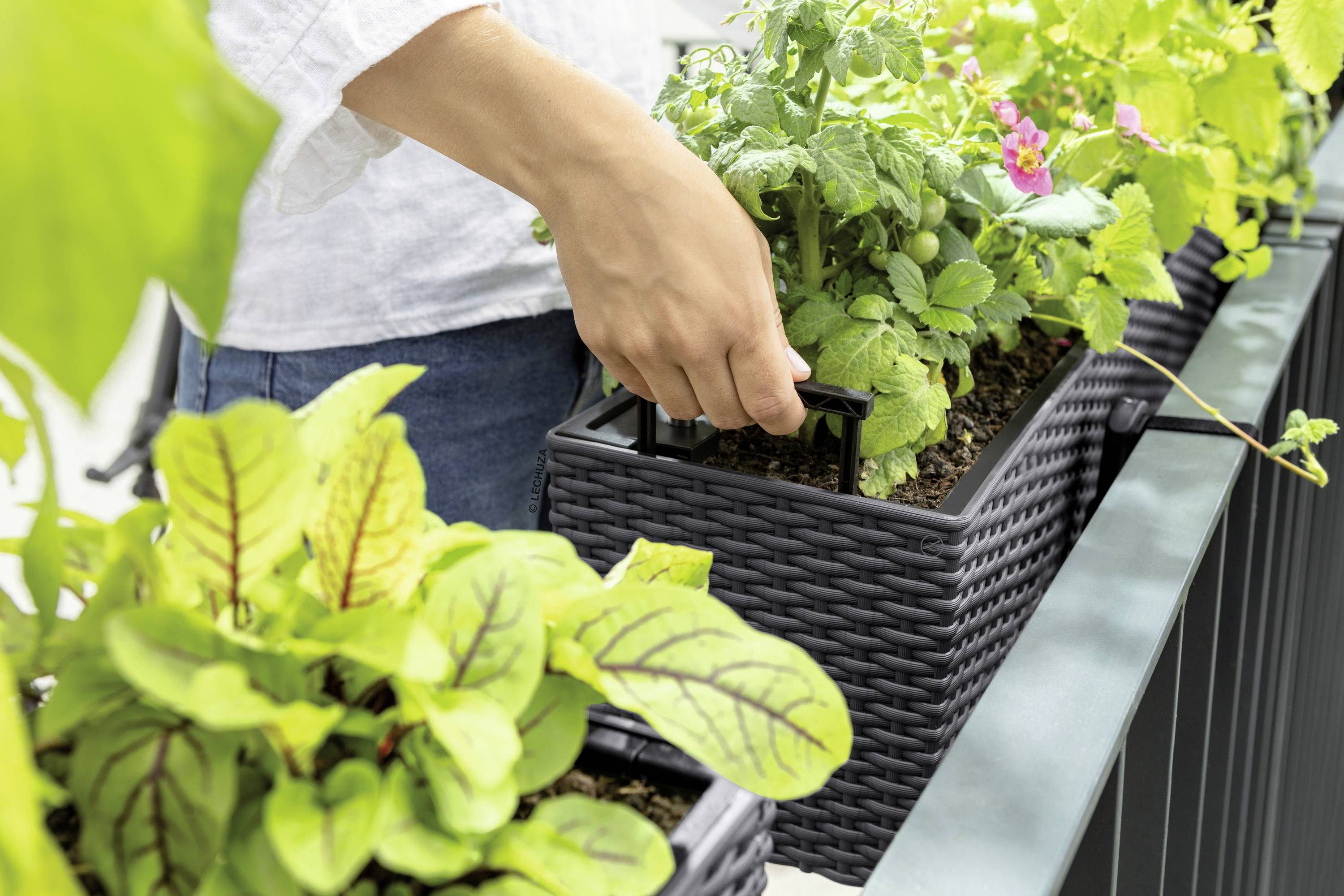 LECHUZA Jardiniere BALCONERA Cottage 80 ALL-IN-ONE Graniet-17