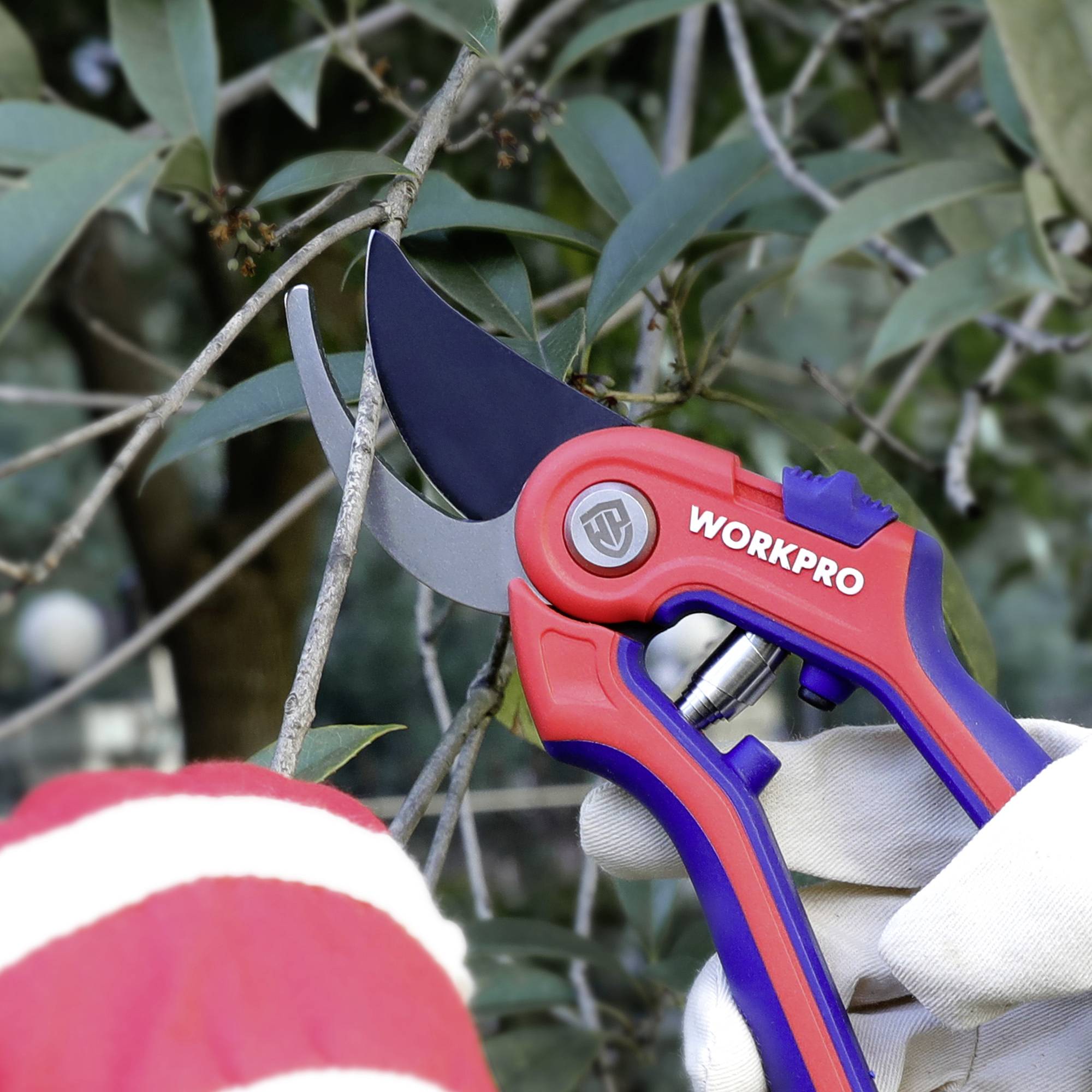 Een rode boomschaar knipt een tak. Op de achtergrond zijn groene bladeren zichtbaar.