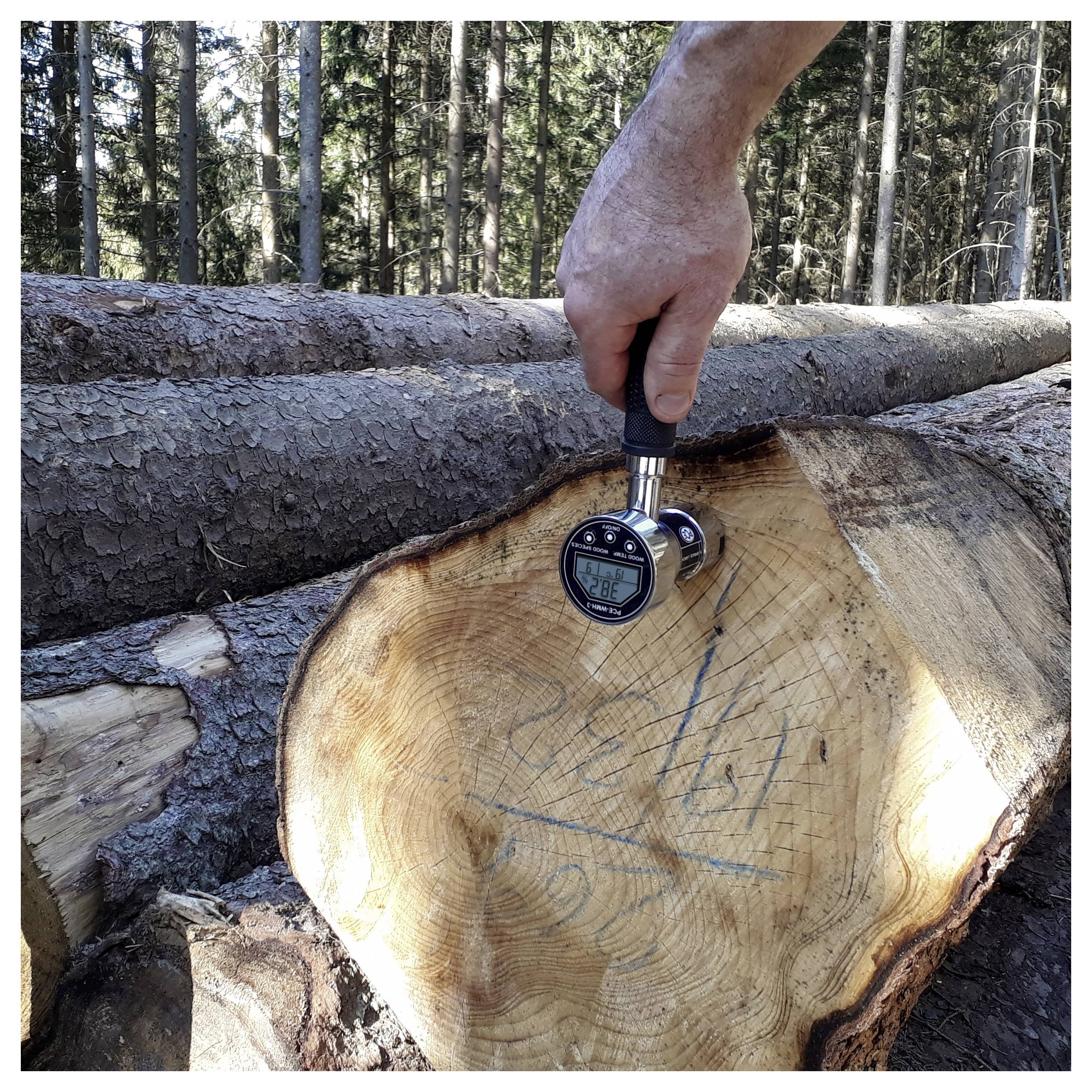 Hand die een digitale schuifmaat/diametermeter tegen het gesneden uiteinde van een gevelde boomstam in een bos houdt, waarin de diameter van de stam wordt gemeten.