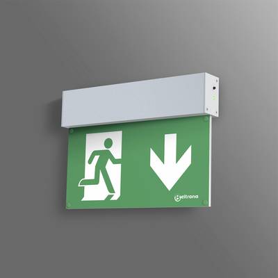 Nooduitgangsbord met pictogram van een rennende figuur en pijl naar beneden, dat de uitgang aanwijst.