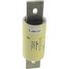 Eaton LPJ-110SP LPJ-110SP Zekeringsinzetstuk (Ø x l) 41 mm x 146 mm 600 V Traag -T- Inhoud 1 stuk(s)