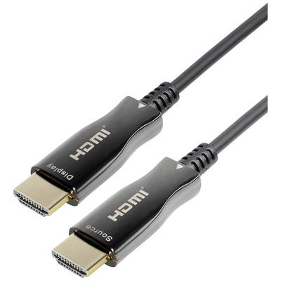 Twee HDMI-kabelstekkers met opschriften 'Display' en 'Source', verbonden door een zwart kabel.