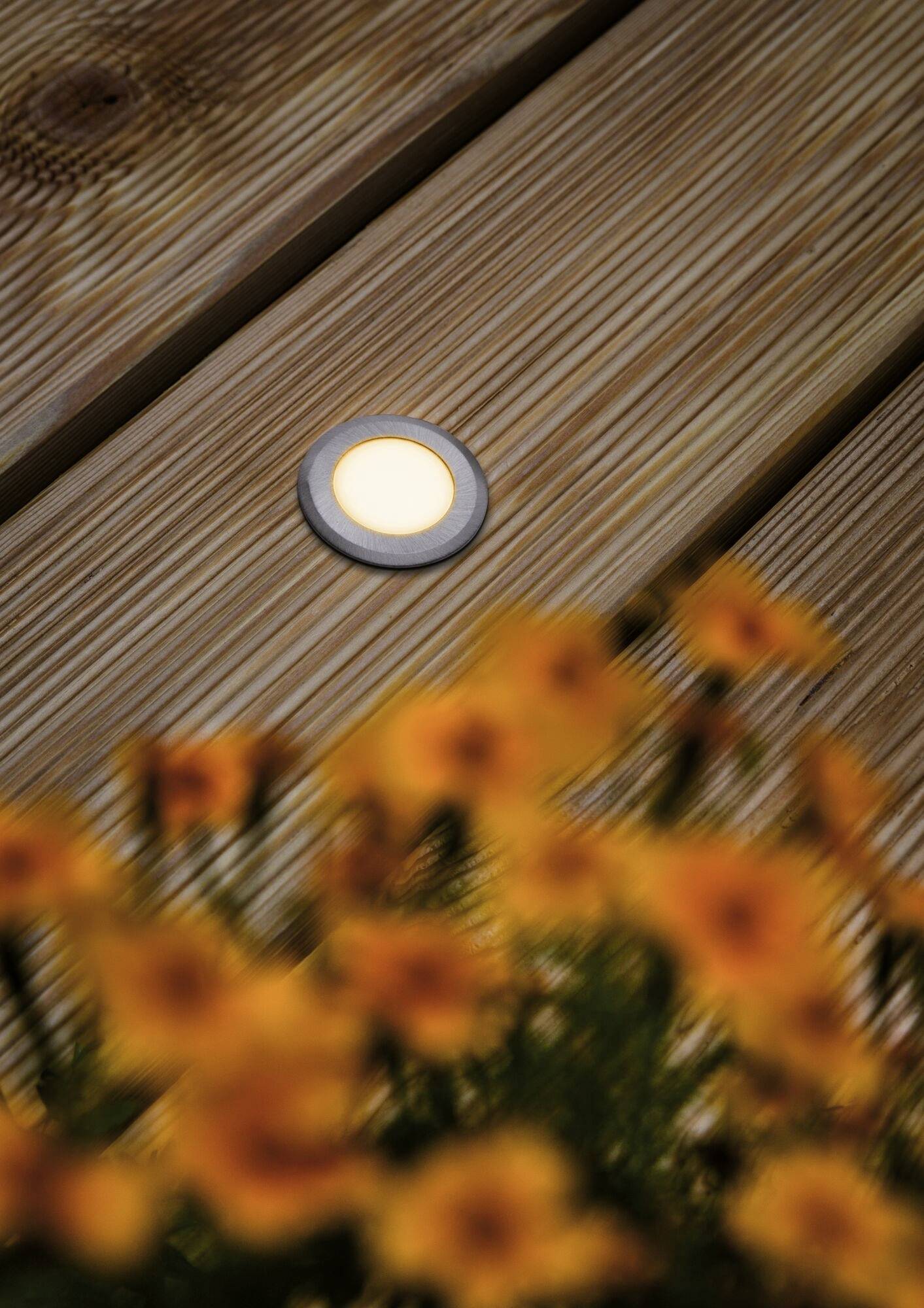 Verlicht tuinbord met gele bloemen op de voorgrond.