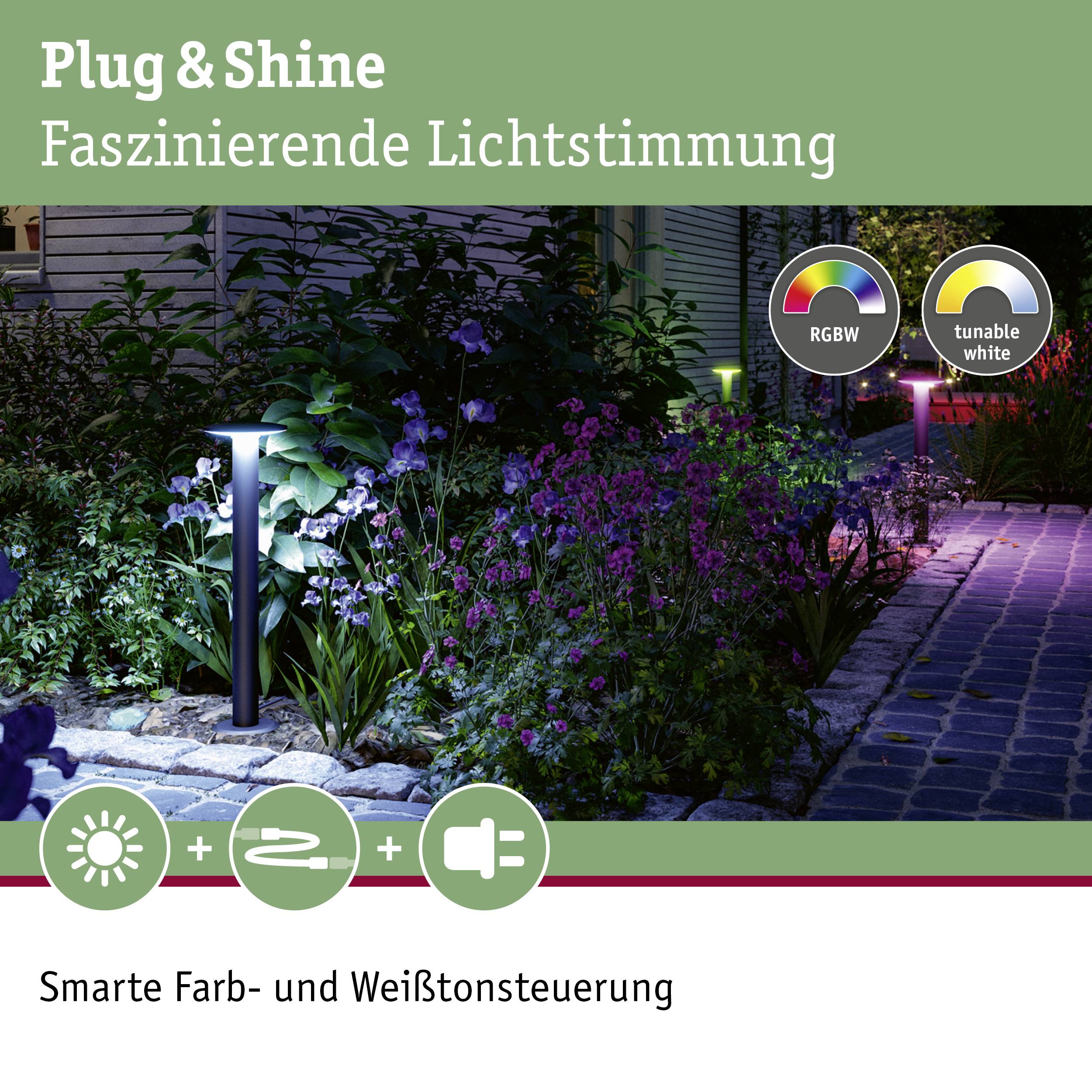 Plug & Shine Tuinverlichting 's Nachts. Meerdere grondspots verlichten een pad, omgeven door planten. Tekst over slimme kleurverlichtingsbesturing.