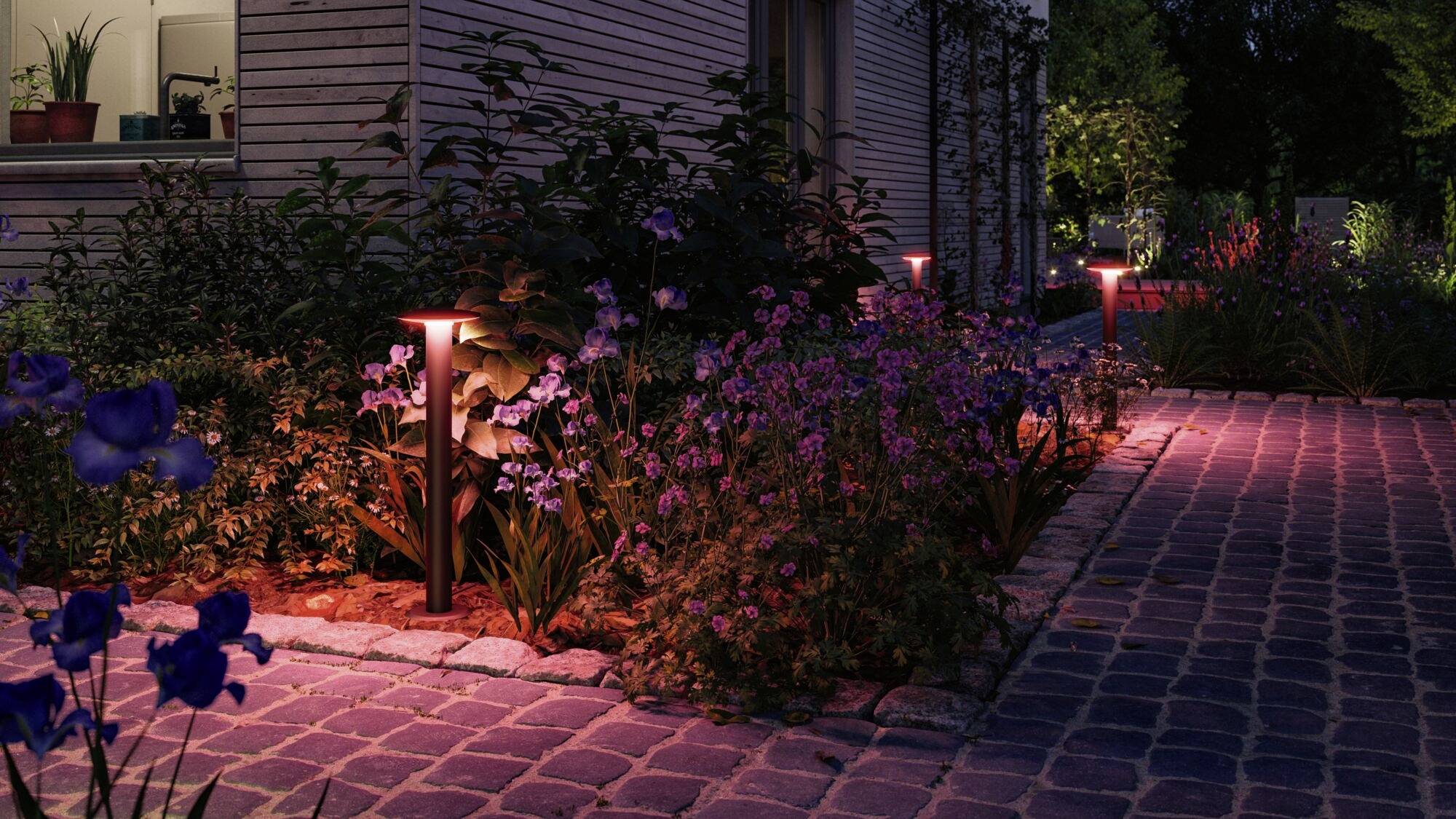 Verlichte tuinpaadje 's avonds met bloeiende bloemen en planten. Ronde verlichting langs het pad creëert een gezellige sfeer.