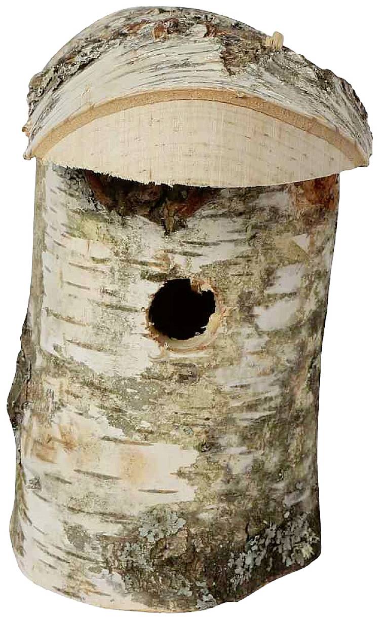 Een eenvoudige, korte houten sectie van berkenhout met een doorlopend gat in het midden, dat eruitziet als een vogelhuisje.