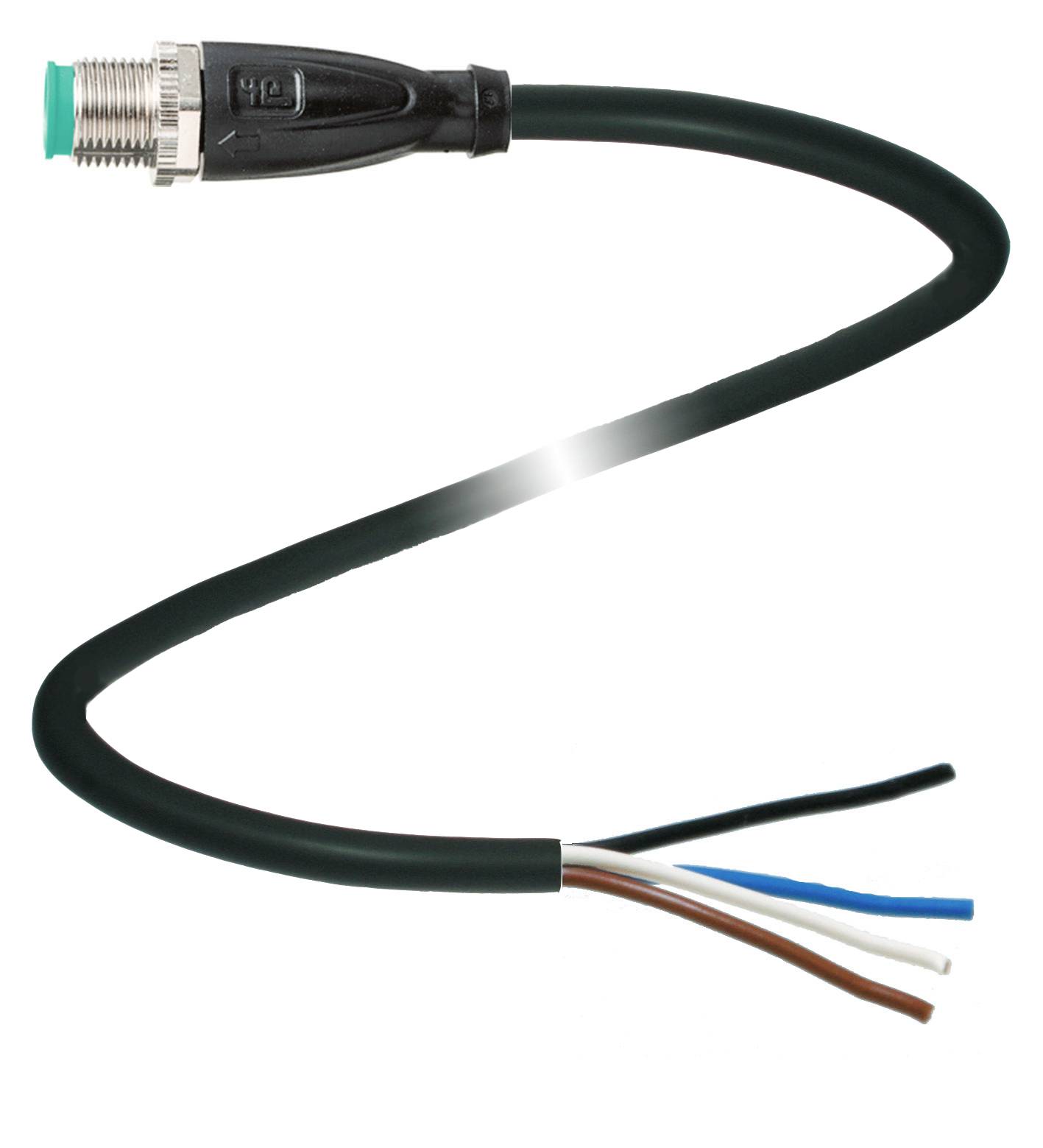 Een zwarte kabel met een stekker aan het ene uiteinde en vier onbedekte draden (wit, bruin, blauw, zwart) aan het andere uiteinde.