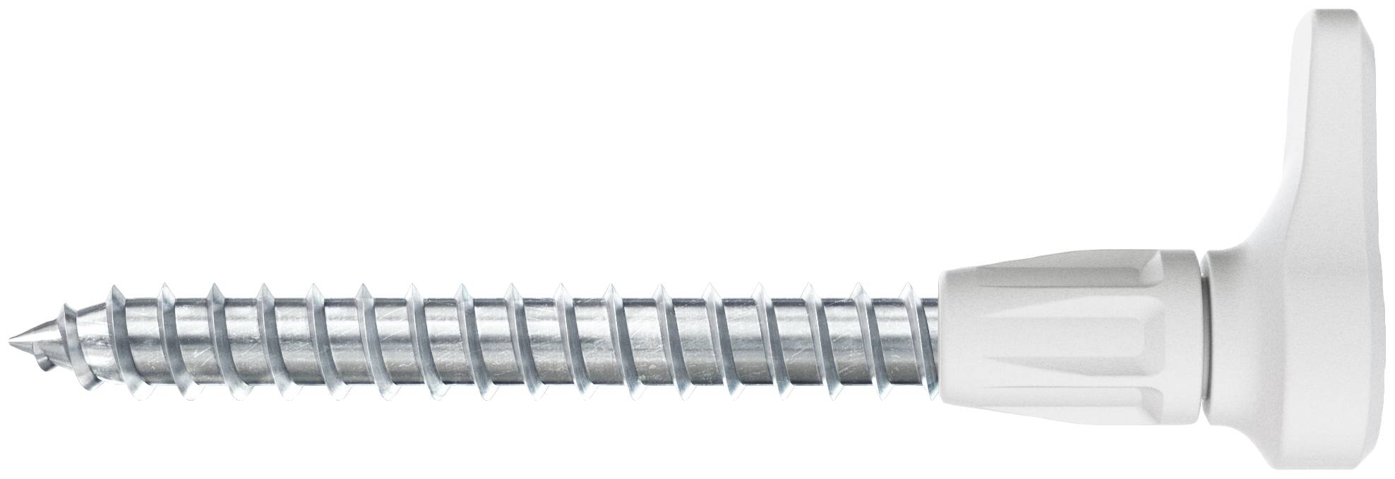 Schroef- en pluggenset: Een metalen schroef met kunststof kop bovenaan, rode kunststofplug onderaan, met het opschrift 'fischer'.