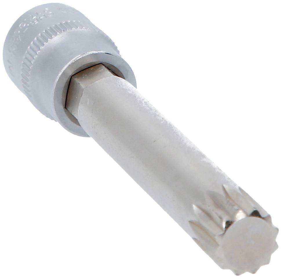 Metalen gereedschap met getande uiteinde, mogelijk een bitopzetstuk.