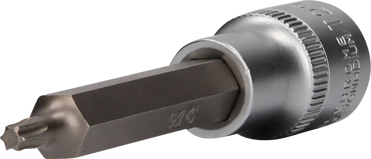 Zeskant-bit-inzet met Torx-kop, van metaal, voor schroefwerkzaamheden.
