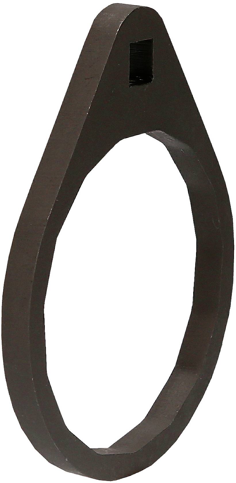 Een scherp, donkerbruin, eivormig metalen plaatje met een ophangoog aan de punt.