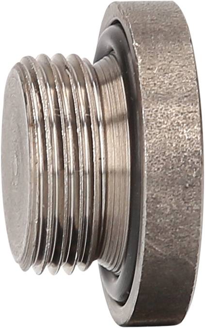 Een metalen schroef met schroefdraad en een platte kop. Dergelijke schroeven worden vaak gebruikt voor afdichting of bevestiging in technische toepassingen.