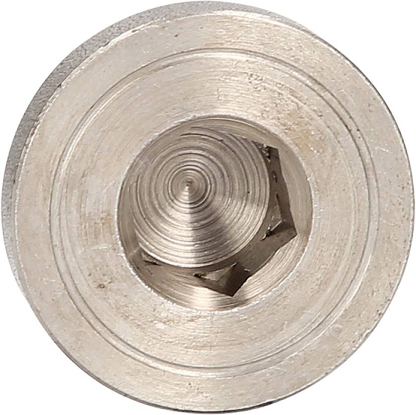 Close-up van een ronde, metalen schroef met een zeskante binnendraad, op een neutrale achtergrond.