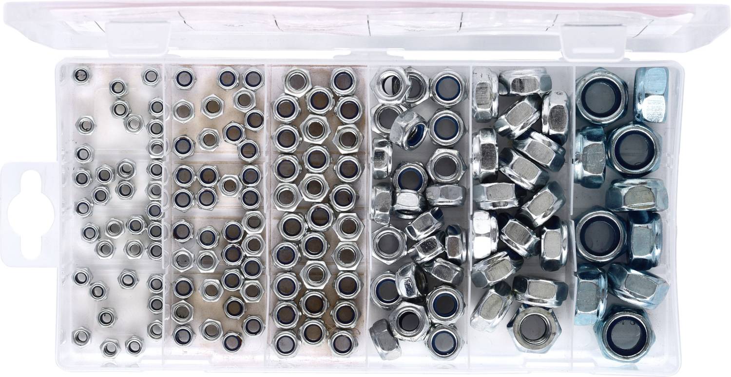 Assortiment van metalen moeren in een transparante organizer. Verschillende maten zijn gerangschikt in aparte vakken.