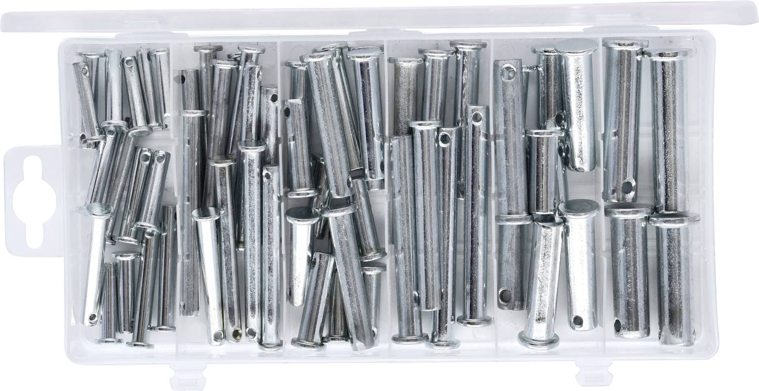 Een transparante plastic doos met verschillende maten metalen pennen en bouten, grotendeels zilverkleurig, gelijkmatig verdeeld.