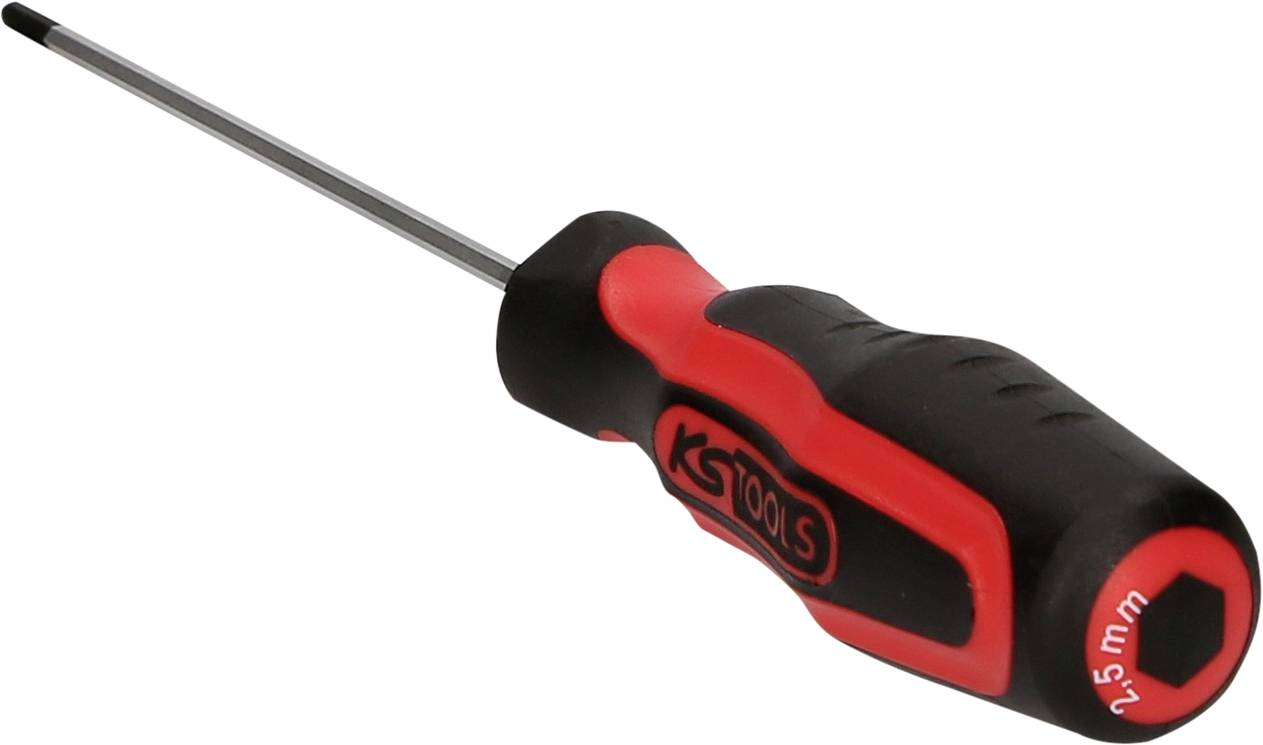 Een schroevendraaier met een zwarte en rode handgreep, gemarkeerd met '2,5 mm' voor de diameter, ligt op een witte achtergrond.
