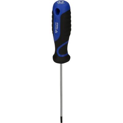 Een schroevendraaier met een blauw-zwarte handgreep en metalen punt.