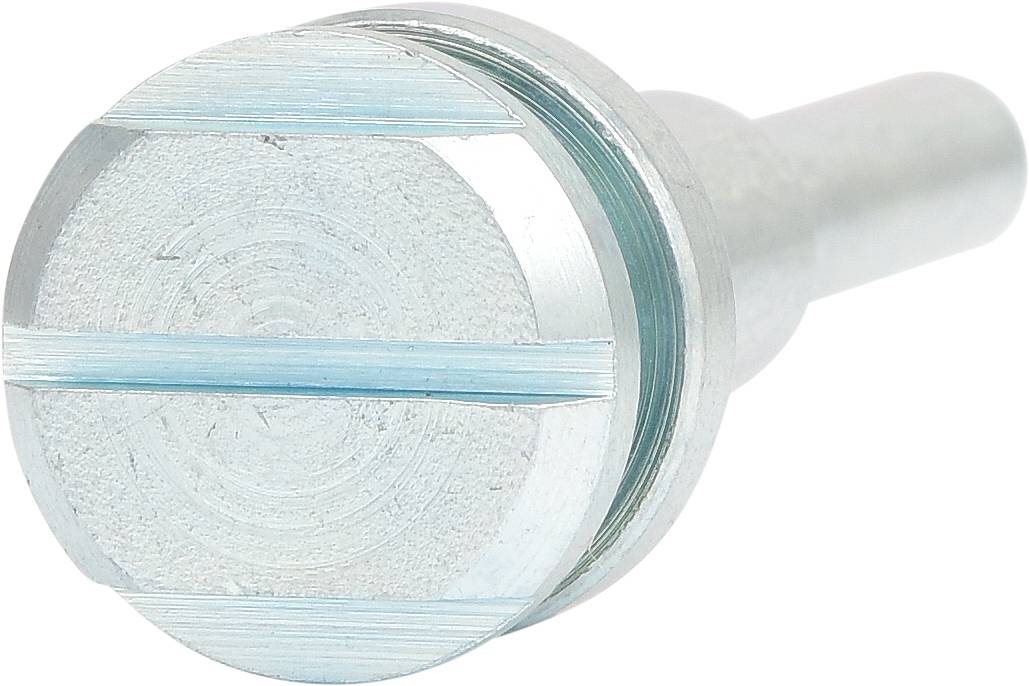 Cilindrische metalen pen met sleufkop zichtbaar van bovenaf, geschikt voor mechanische toepassingen of verbindingen.