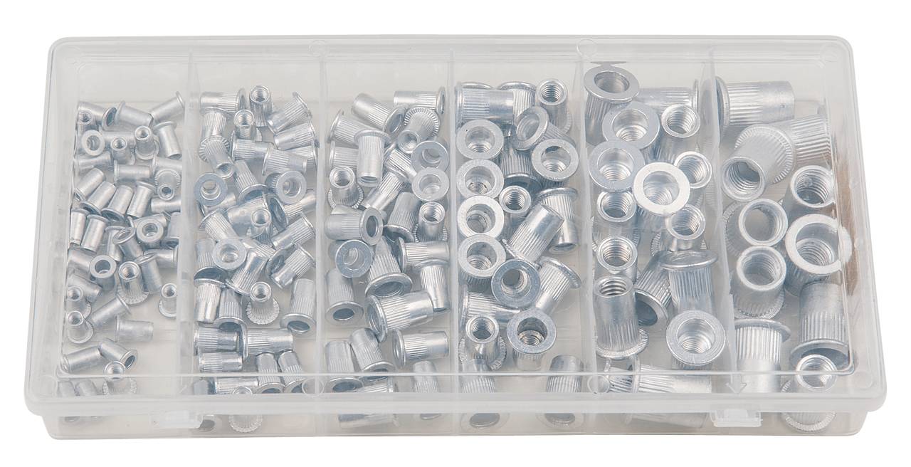 Een kunststof doos met verschillende grote zilveren metalen klinknagels, gesorteerd in vakken.