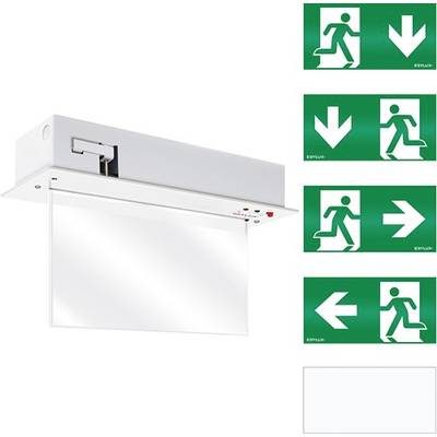 Het beeld toont een nooduitgangsverlichting met een groen pictogram. Symbolen wijzen de weg omlaag, naar rechts of naar links naar een vluchtroute.