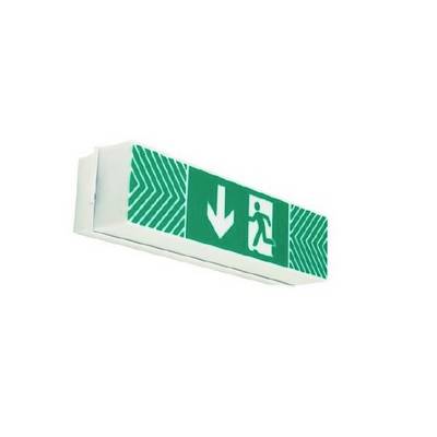 Groen nooduitgangsbord met pijl naar beneden en pictogram van een persoon die naar rechts loopt, gebruikt voor bewegwijzering van vluchtroutes.