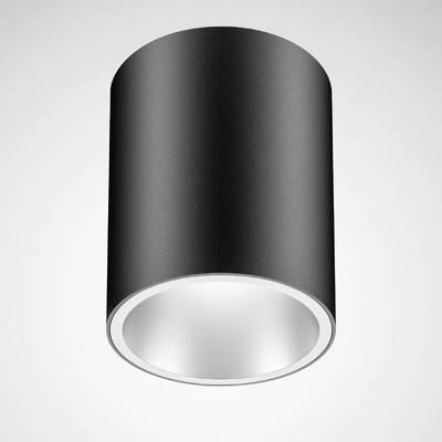 Cilindervormige plafondlamp in zwart, strak design, geschikt voor moderne interieurs.