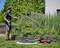 Een man besproeit planten in de tuin met een tuinslang. Een rode waterpomp ligt op het gazon in de buurt.