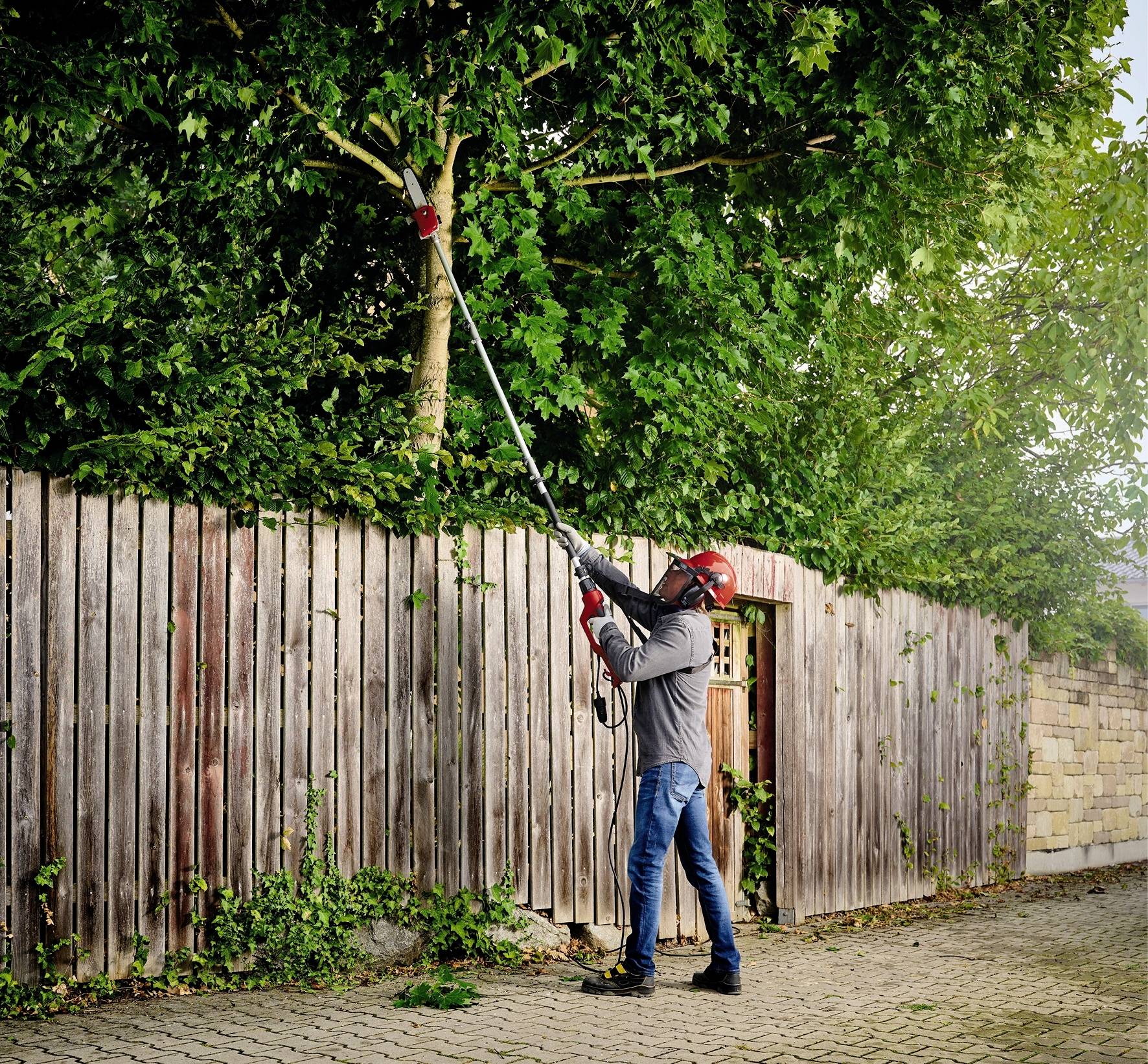 Persoon met veiligheidshelm en veiligheidsbril snoeit takken van een boom met een telescopische heggenschaar naast een houten hek.