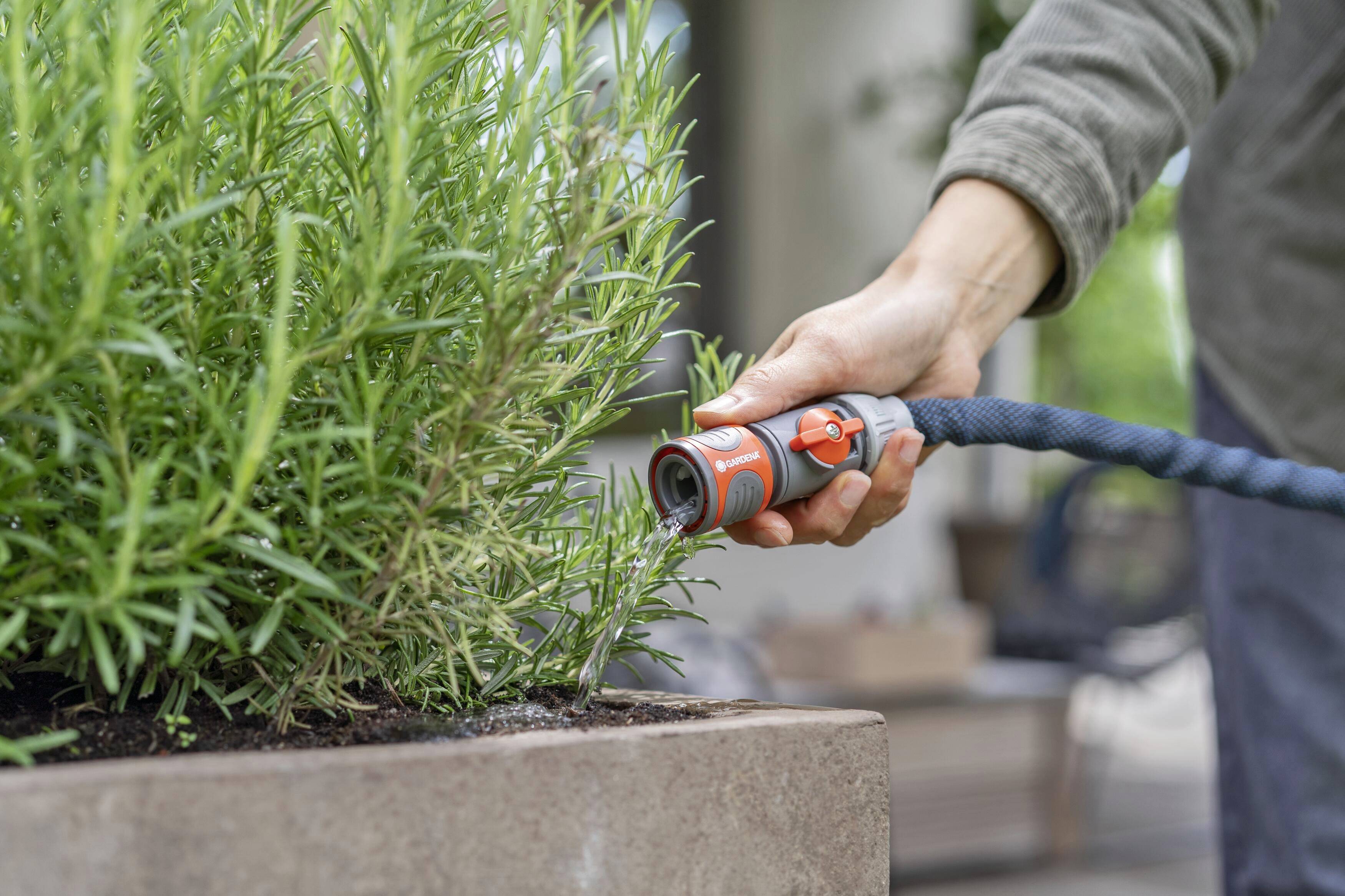 Een persoon begiet planten in een rechthoekige pot met een tuinslang. De plant ziet er groen en vol uit.