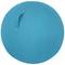 Een ronde, blauwe zitbal met draaggreep.